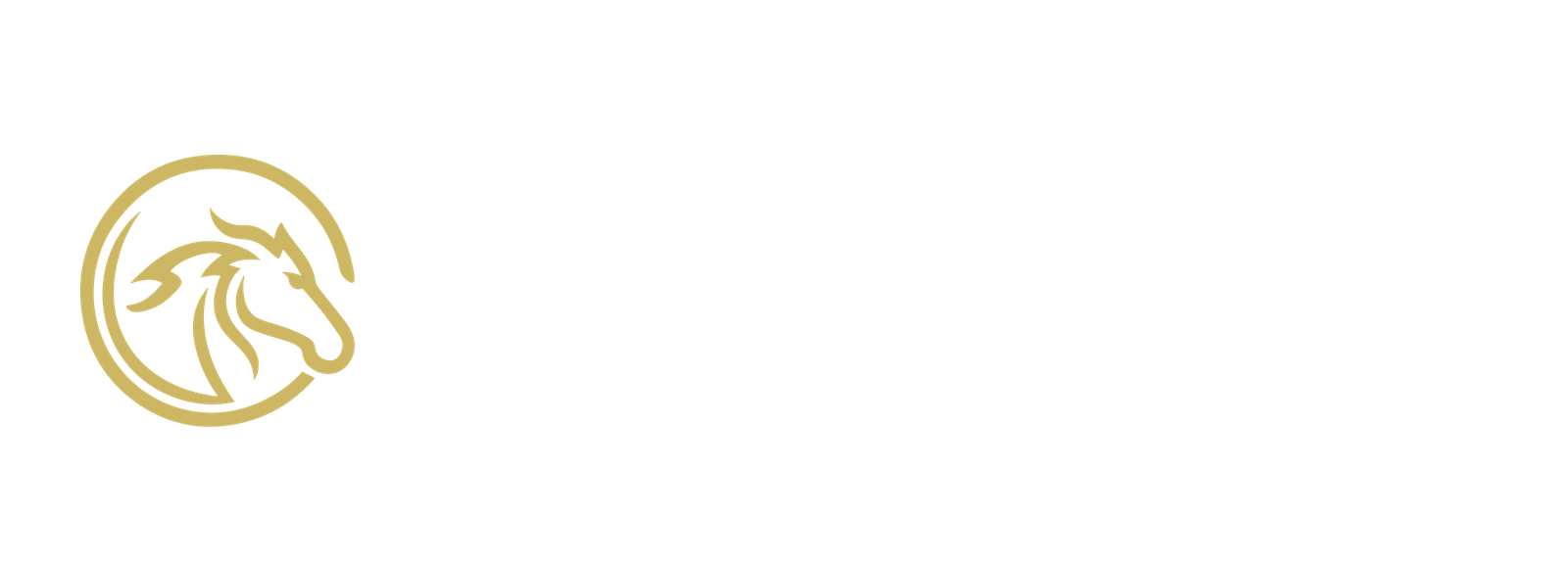 شريك 7